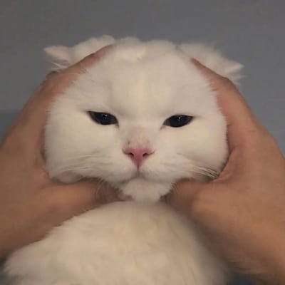 Siska Putri avatar